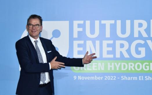 DG at COP27